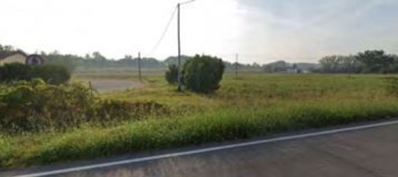 Grundstück in Canaro, Italy 26063m², Nr. 281161 5