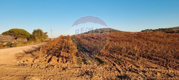 Terreno en Turcifal, Portugal 57400 m² No. 63288 3