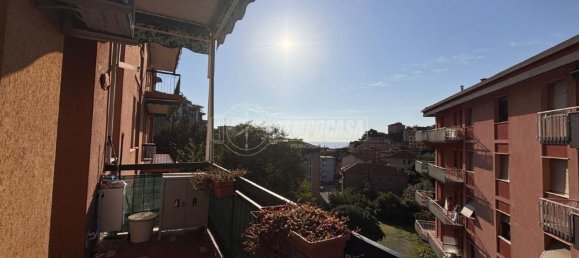 2 rooms Apartment in Celle Ligure, Italy No. 183243 18