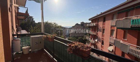 2 rooms Apartment in Celle Ligure, Italy No. 183243 19