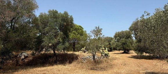 Дом с 2 спальнями в Каровиньо, Италия № 325445 12