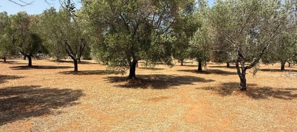 Дом с 2 спальнями в Каровиньо, Италия № 325445 32