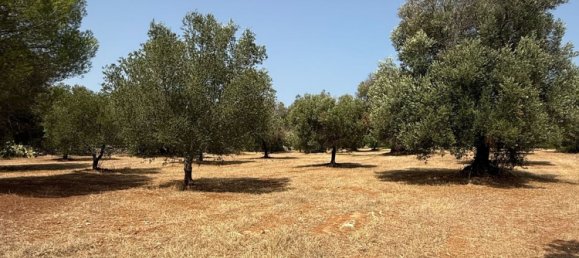 Дом с 2 спальнями в Каровиньо, Италия № 325445 13