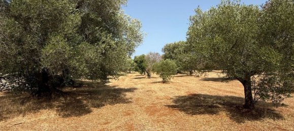 Дом с 2 спальнями в Каровиньо, Италия № 325445 23