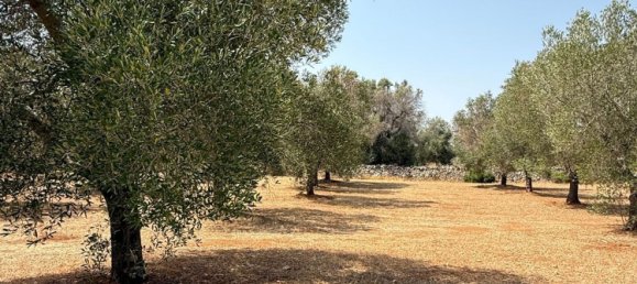 Дом с 2 спальнями в Каровиньо, Италия № 325445 10