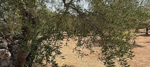 Дом с 2 спальнями в Каровиньо, Италия № 325445 29