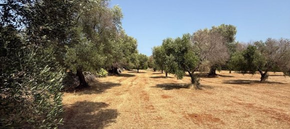 Дом с 2 спальнями в Каровиньо, Италия № 325445 24