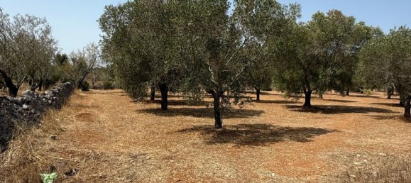 Дом с 2 спальнями в Каровиньо, Италия № 325445 3