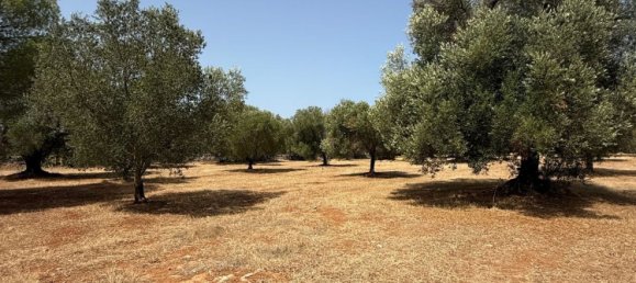 Дом с 2 спальнями в Каровиньо, Италия № 325445 16