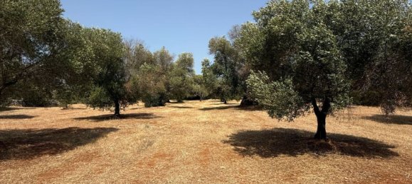 Дом с 2 спальнями в Каровиньо, Италия № 325445 20