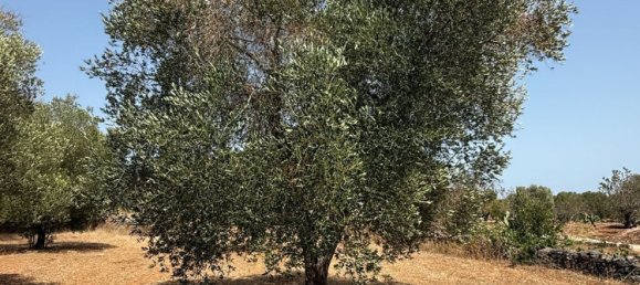 Дом с 2 спальнями в Каровиньо, Италия № 325445 8