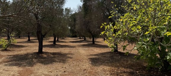 Дом с 2 спальнями в Каровиньо, Италия № 325445 26