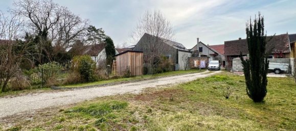 Земельный участок в Абсдорф, Австрия № 206528 2