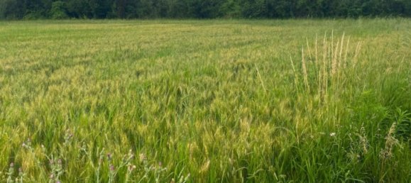 Земельный участок 320м² в Шатюзанж-ле-Губе, Франция № 104404 4