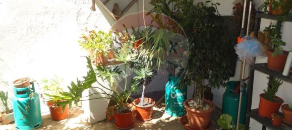 Casa T10 em Torrão, Portugal N.º 20567 24