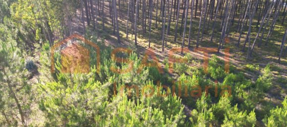 Casa T4 em Alcobaça, Portugal N.º 151112 38