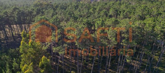 Casa T4 em Alcobaça, Portugal N.º 151112 10