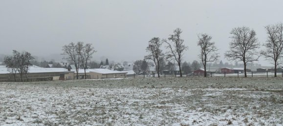 2 غرف نوم منزل في Unstrut-Hainich-Kreis, Germany رقم 28158 19