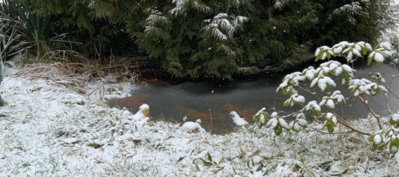 2 غرف نوم منزل في Unstrut-Hainich-Kreis, Germany رقم 28158 21