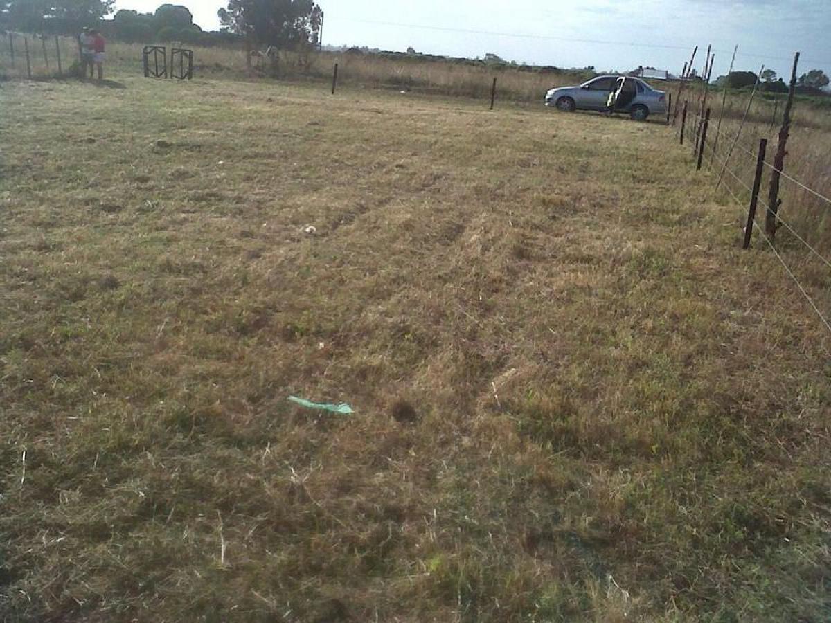 Grundstück in Mar del Plata, Argentina 48m², Nr. 116259