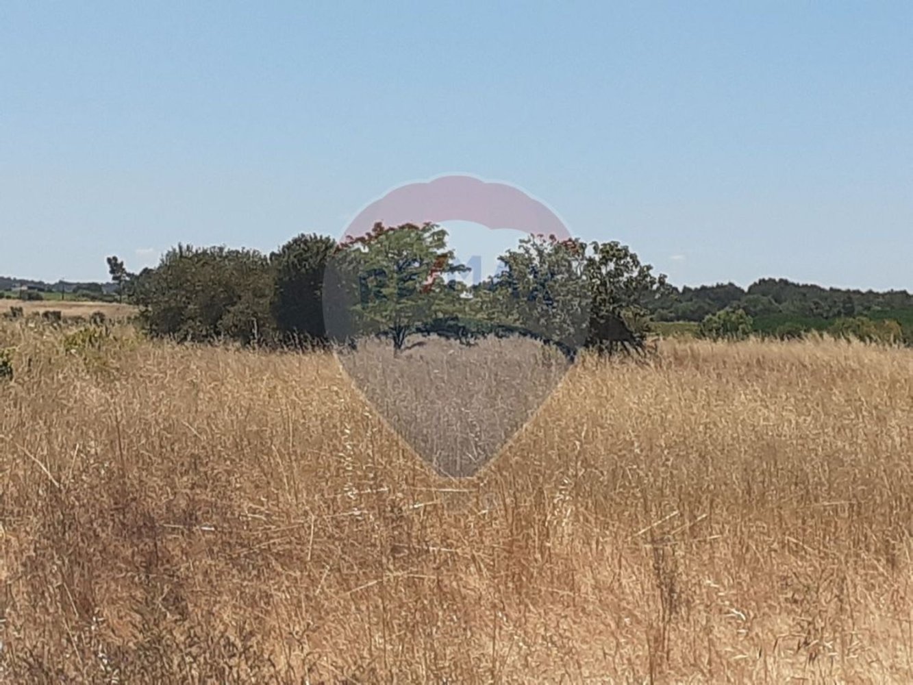 7500m² Land in Alpiarca, Portugal No. 62219