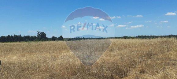 7500m² Land in Alpiarca, Portugal No. 62219 3