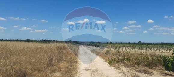 7500m² Land in Alpiarca, Portugal No. 62219 2