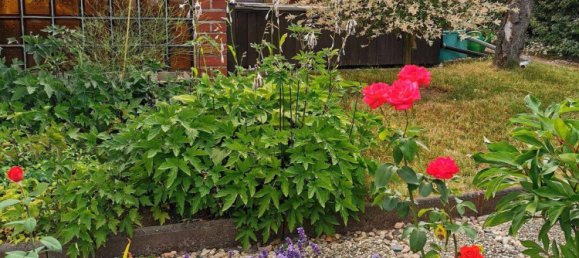  Land in Sachsische Schweiz-Osterzgebirge, Germany No. 318717 11