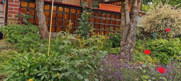  Land in Sachsische Schweiz-Osterzgebirge, Germany No. 318717 13