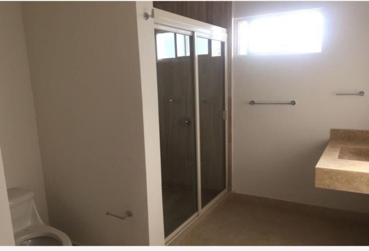 4 غرف نوم منزل في Playa Vicente, Mexico رقم 146557