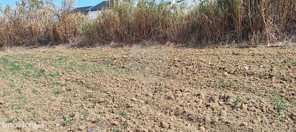 Terreno en Atouguia da Baleia, Portugal 2560 m² No. 57890 6