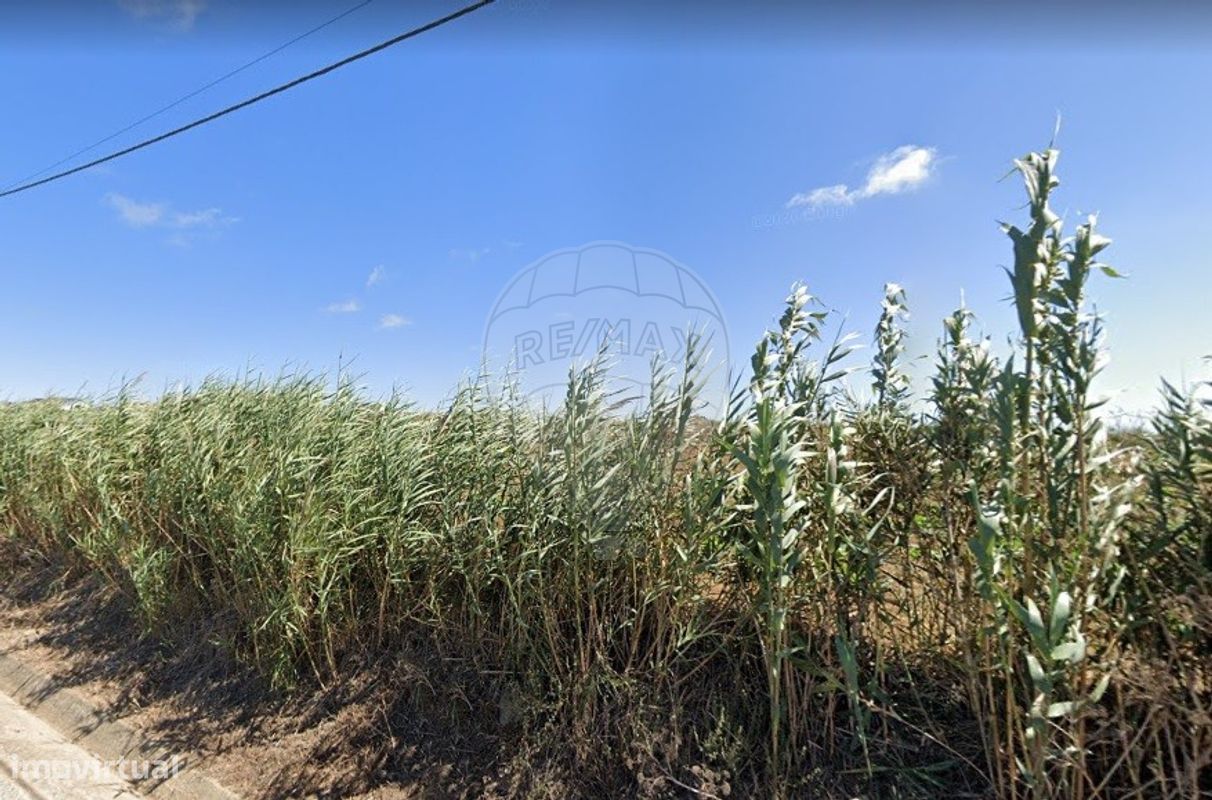 Terreno en Atouguia da Baleia, Portugal 2560 m² No. 57890