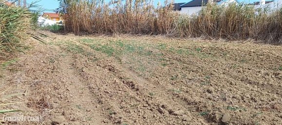 Terreno en Atouguia da Baleia, Portugal 2560 m² No. 57890 4