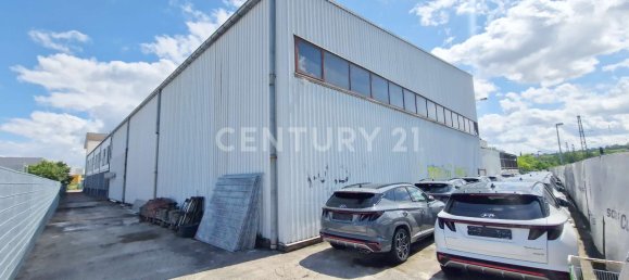 3985m² Building in Mainz-Bingen, Germany No. 132547 4