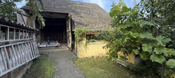 Casa de 4 habitaciónes en Mistelbach, Austria No. 235511 8