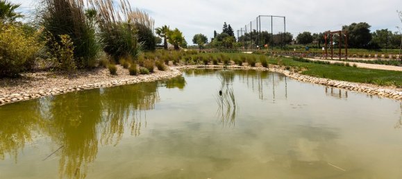 3000m² Building in Luz, Portugal No. 135921 43