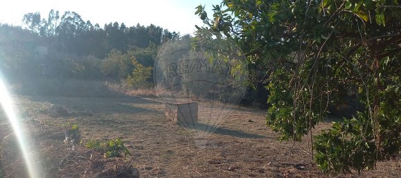 4 Schlafzimmer Haus in Alvaiazere, Portugal, Nr. 28511 7