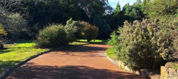 5 chambres Maison à Sintra, Portugal No. 45881 17