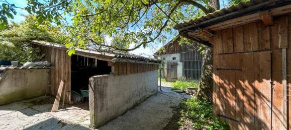 4 bedrooms House in Regau, Austria No. 66664 10