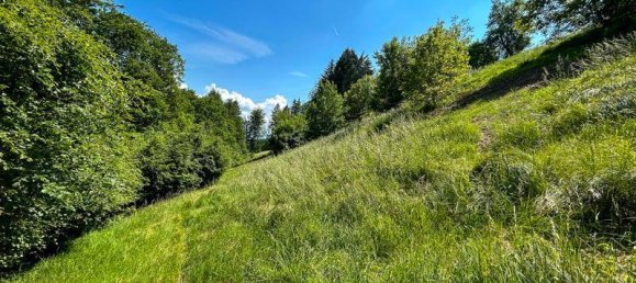 4 bedrooms House in Regau, Austria No. 66664 33