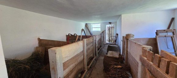 3 rooms House in Tobaj, Austria No. 194590 19