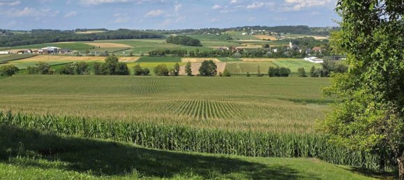 3 rooms House in Tobaj, Austria No. 194590 20