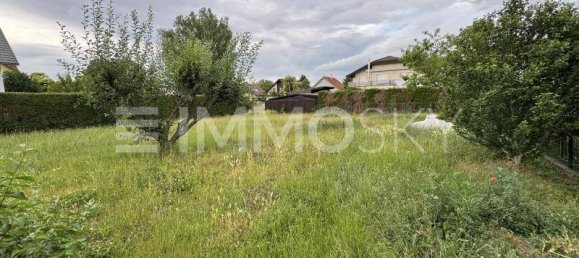 Земельный участок в Герасдорф бай Вин, Австрия № 221760 2