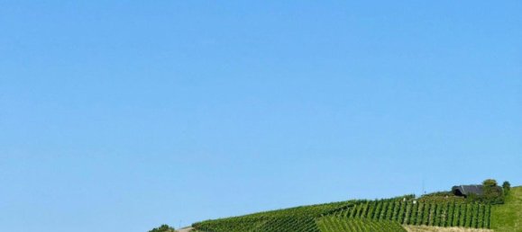 7-Zimmer Stadthaus in Baden-Baden, Germany, Nr. 304425 23