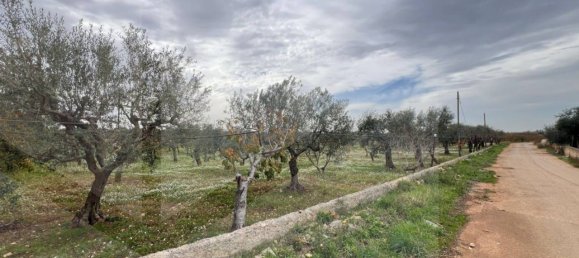 8000m² Land in Conversano, Italy No. 23386 4