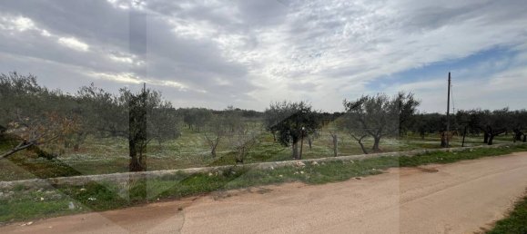 8000m² Land in Conversano, Italy No. 23386 5