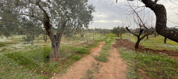 8000m² Land in Conversano, Italy No. 23386 2