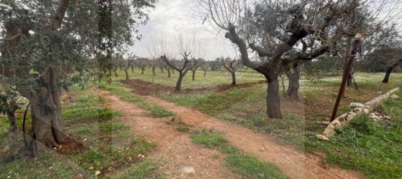 8000m² Land in Conversano, Italy No. 23386 3