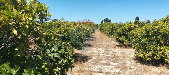 19500m² Land in Palmela, Portugal No. 92313 11