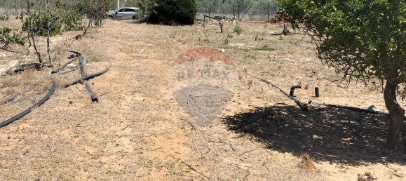 19500m² Land in Palmela, Portugal No. 92313 6
